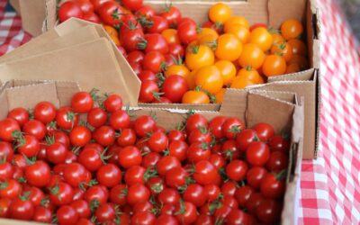 Unione Italiana Food: L’export del 2023 supera i 21 miliardi di Euro